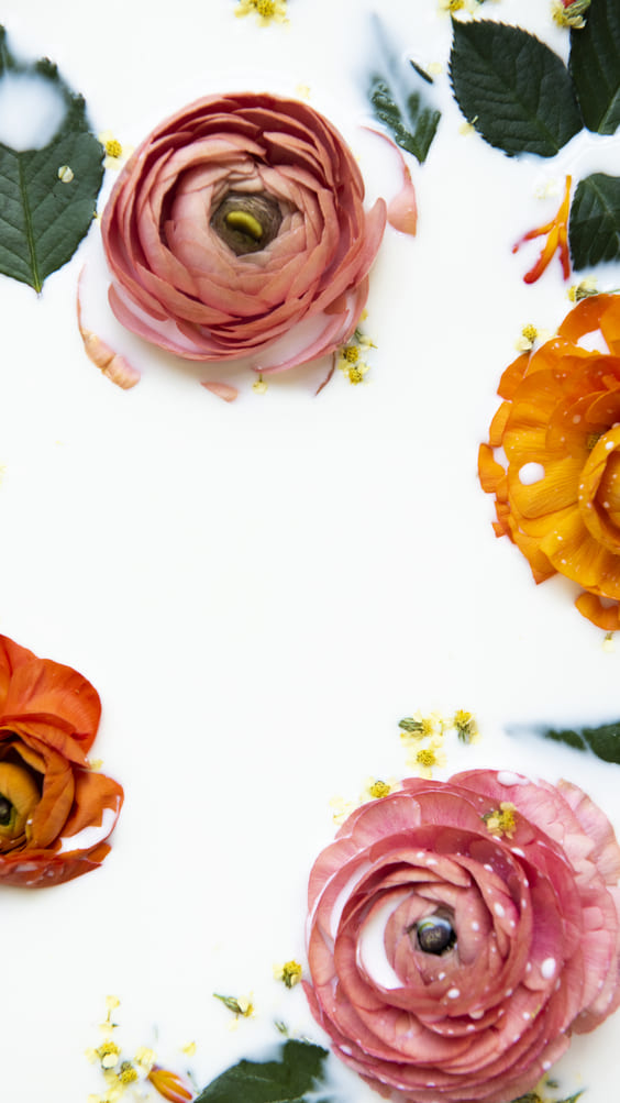 Tropical bright flowers sitting in cream water wallpaper.