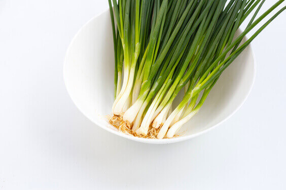 How to regrow Green Onions in a jar, growing veggies from scraps