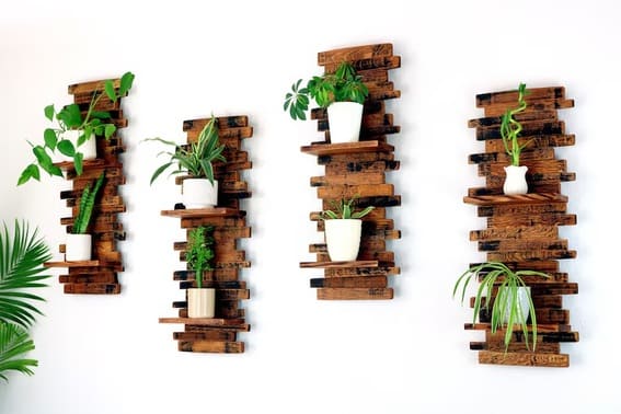 Staggered dark wood wall shelves with various outdoor plants against a white wall.