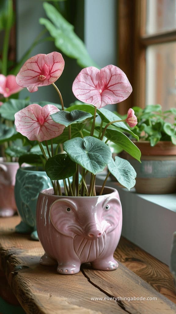 pink houseplants