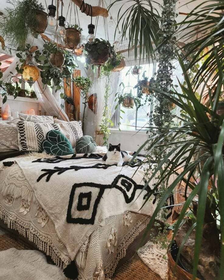 Boho bedroom filled with hanging plants, layered textiles, and a lounging cat
