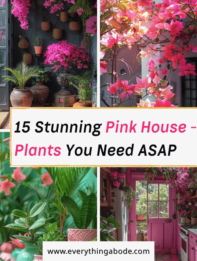 pink houseplants