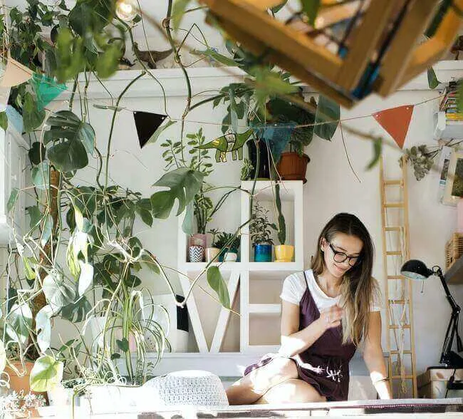 lucky plant, lucky plants indoor, lucky plants for indoor, 8 Lucky Houseplants According to Feng Shui & Where to Put Them --- Everything Abode