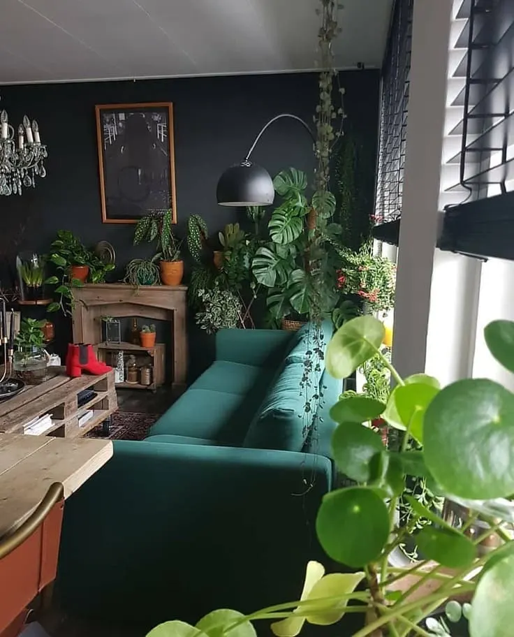 A touch of green with loads of plants in a living room