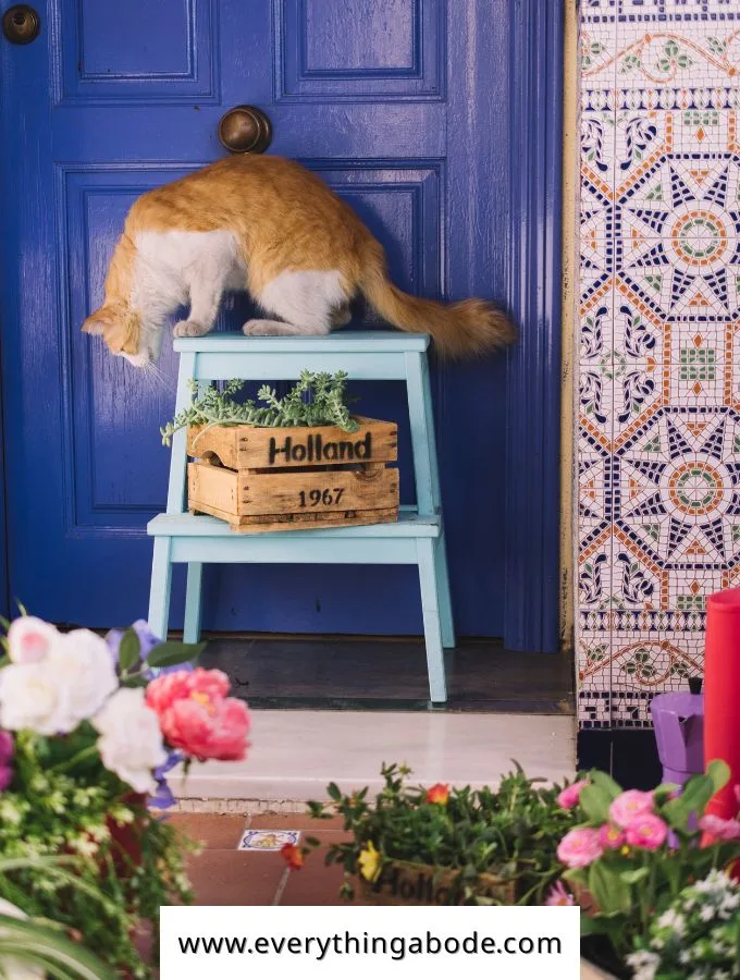 front door entrance with cat on a stool in front of the door
