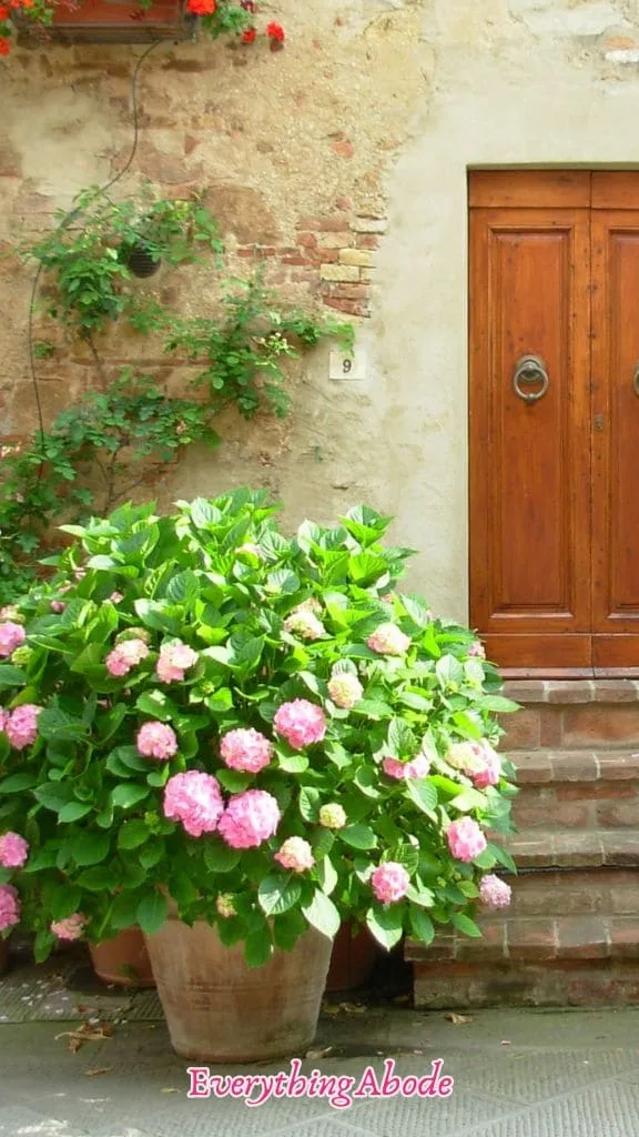 flowers in a pot on a porch