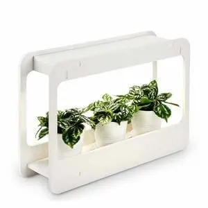 LED Plant Grow (for darker workspaces) via @everythingabode