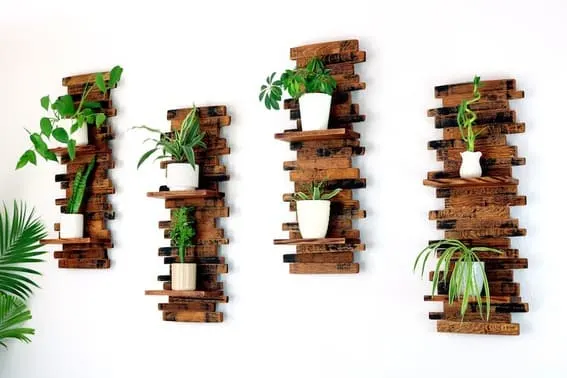 Staggered dark wood wall shelves with various outdoor plants against a white wall.