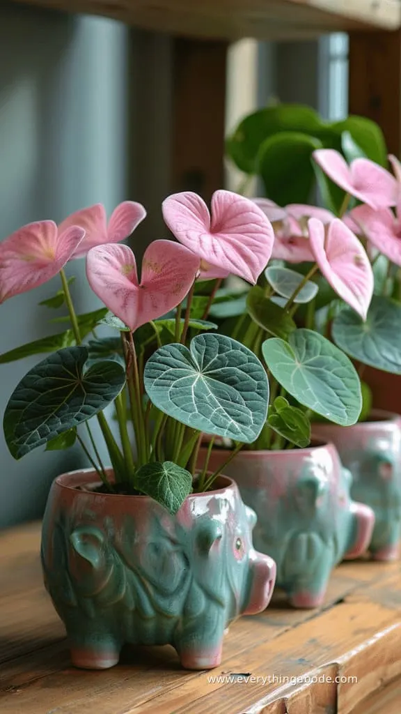pink houseplants