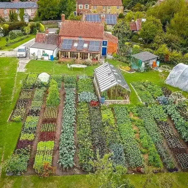 Aerial view of lush raised garden beds in a large backyard homestead