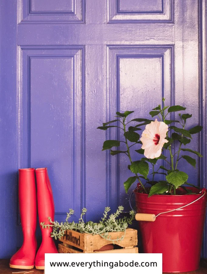 Stylish Front Door Entrance Idea