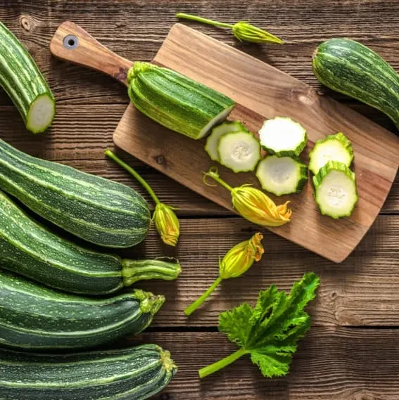 zucchini as a beginner vegetable garden plant